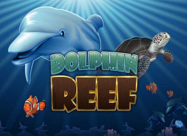 Dolphin Reef game